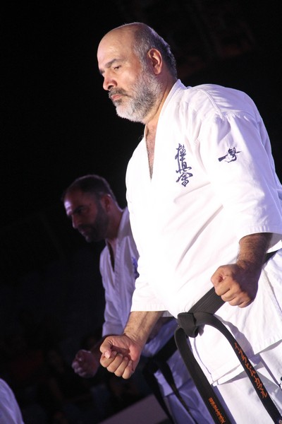 Martial Arts Festival